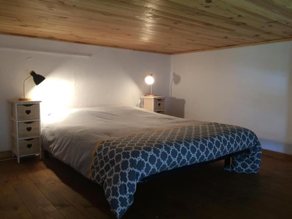 Appartement Cosy Place Paoli Corte  Eksteriør bilde