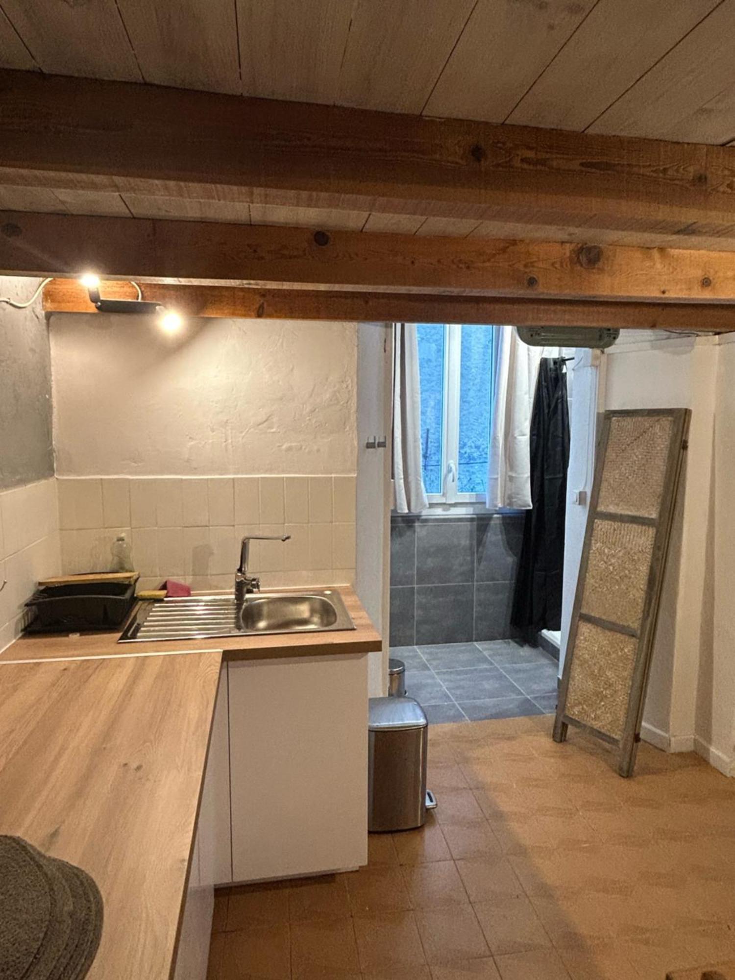 Appartement Cosy Place Paoli Corte  Eksteriør bilde